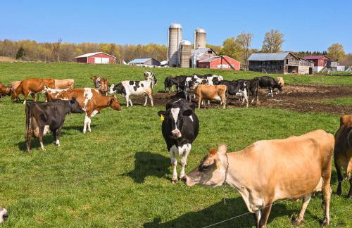 Upstate New York Vacation Rental Near Cooperstown! - Foto 21