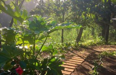 Casa Rural en medio del bosque, El Lance - Foto 25