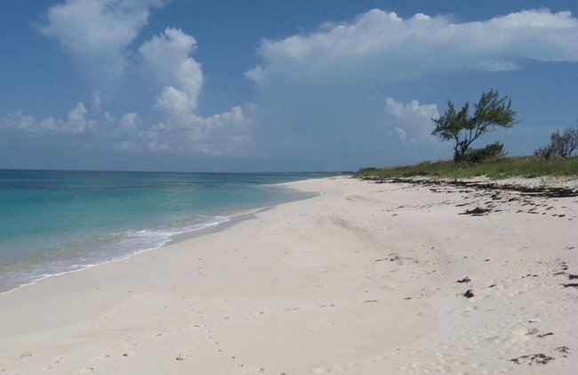 Buttonwood Reserve 1D - Foto 29