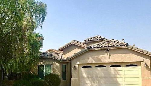 Palmen Maricopa - Photo 5