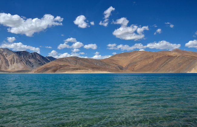 Pangong Sunrise Cottage & Resort - Foto 39