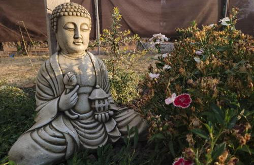 La Casita De Campo. Relax y Naturaleza - Foto 39