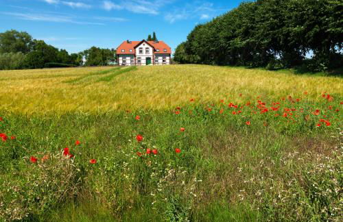 Ferienhäuser Hohmann FH Hohmann - Foto 19