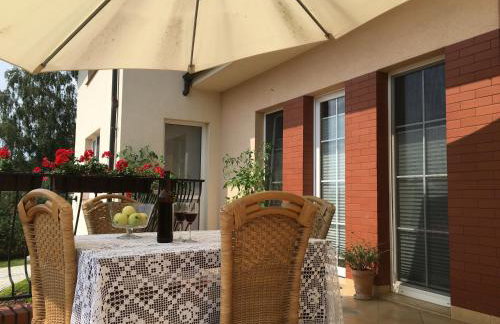 W Starym Sadzie - Foto 30