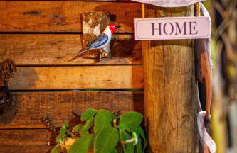 Espaço Aricá - Foto 54