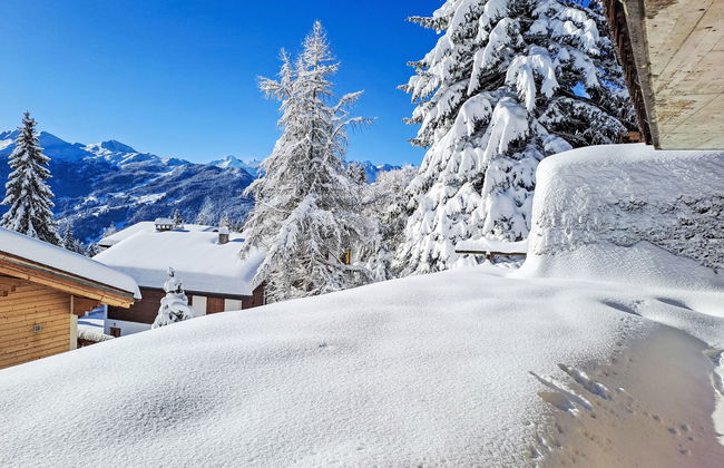 Orchidée 111 - Foto 13