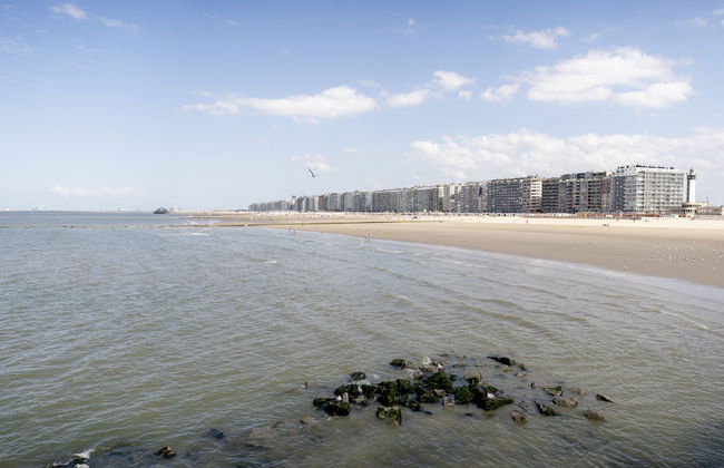 Amuzee with parking & lateral sea view - Foto 30