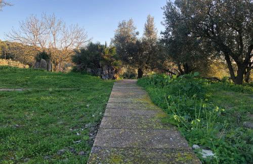 Finca es Rafal, Agroturisme - Foto 30