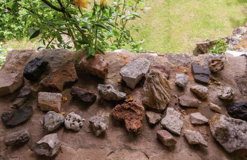 Charming Estate Dordogne with Pool - Foto 80