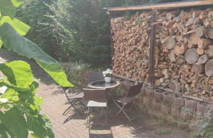 Ferienwohnung, Apartment, Pension - Berlin Neuenhagen - Photo 14