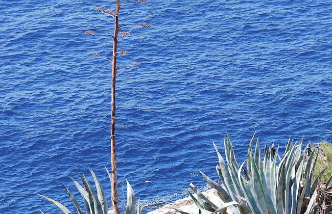 Kates place - Foto 31