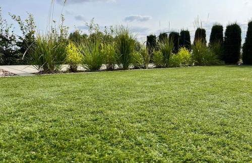 Tiny Ferienhaus Oskar 100m Entfernt zum See Strand - Foto 20