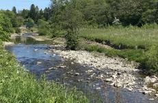 Houghton Park Holiday Cottage - Foto 8