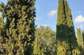 Villa Tommasini La torre - Foto 35