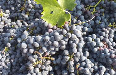 Il Casale di Lucullo - Foto 51