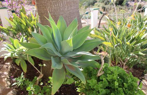 Casa Castillo - Foto 53