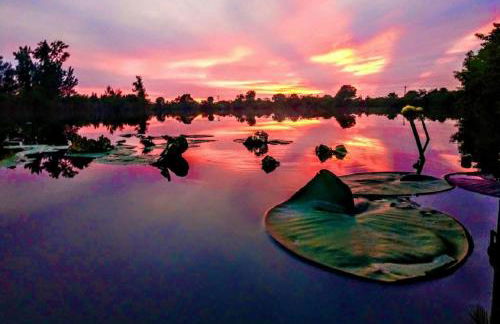 Cape Coral Wildlife Views-Heated Pool-Pet Friendly - Foto 5