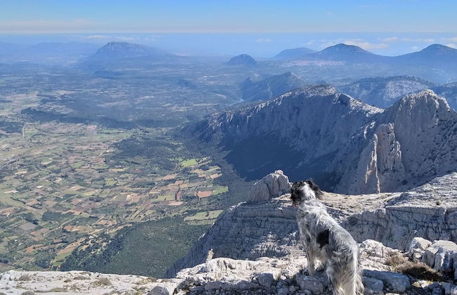 Charming 1-bed Apartment in Iglesias Sardinia - Foto 13
