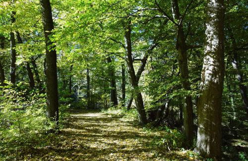 Hasselhäuser Hasselhaus 4 - Foto 17