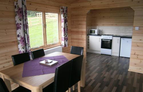 Long Mountain Centre Log Cabins - Foto 17