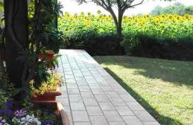 Silos Torrenova - Foto 40