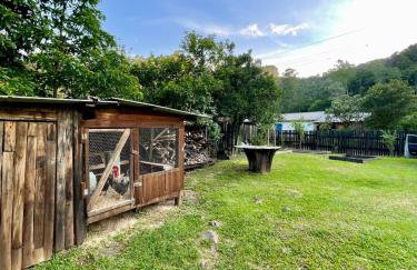 Chacara Sossego da Natureza - Foto 27