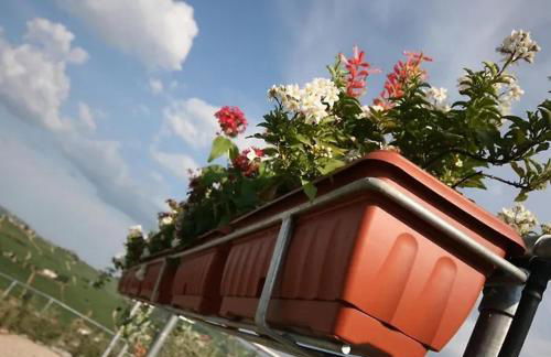 Villa Lilli Beta Bella - Appartamento Rosso Whispering Vines - Foto 8