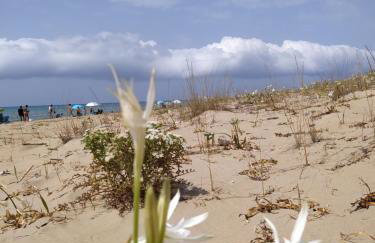 Just Constructed! - Foto 40