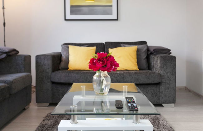 Mega Shelley - Foto 16