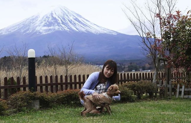 Kawaguchiko Urban Resort Villa - Foto 63