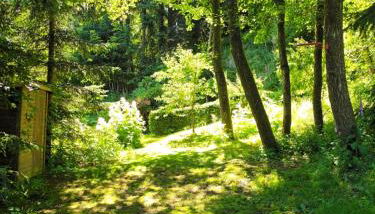 Ferienwohnung "Waldesruh" - Photo 2, Garden