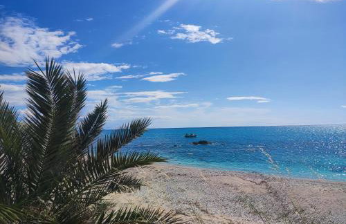 Sun N Sand - Foto 54