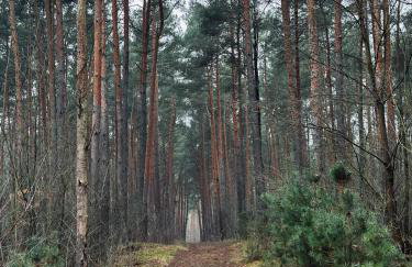 Dom Kacprowy - Brzegi Lasu - dwa apartamenty na wyłączność z ogrodem - Foto 56