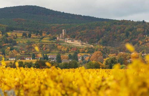 Unter den Reben - Foto 37