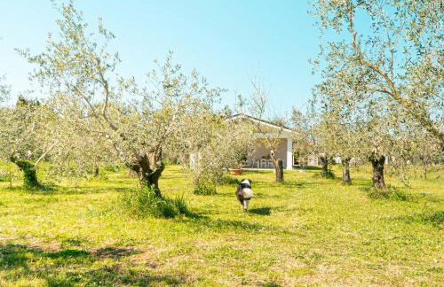 Casa RiVa - Among olive trees and the Tuscan coast - Photo 56