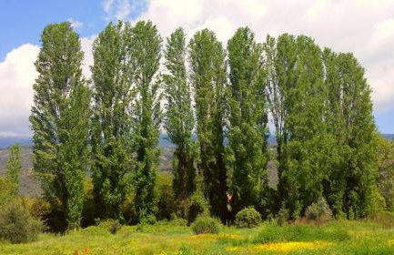 To Spiti - Pelion House - Foto 66