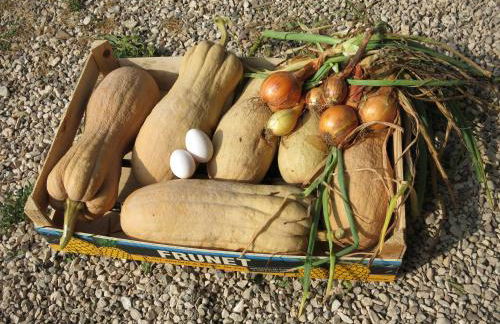 Agriturismo Fior di Maggio - Foto 28