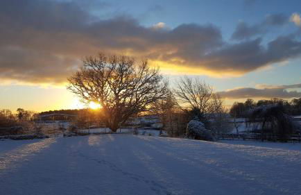 Courtyard Cottage - Photo 29