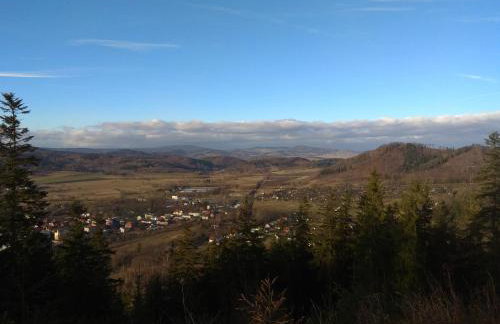 Sudecka Ostoja z Balią i Sauną - Foto 67