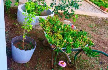 House GITA - Photo 39