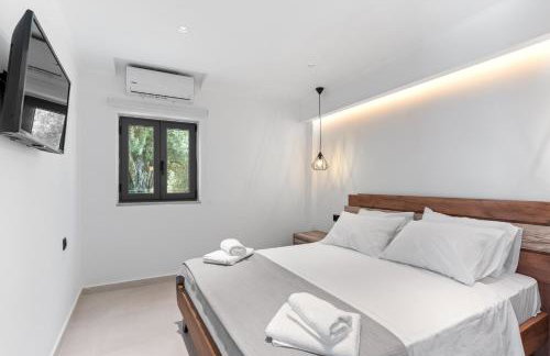 Luxury Waterfalls Villa Nidri Privet Pool Jaccuzi - Photo 4