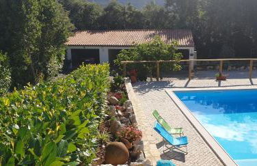 Casa dos Imos - Foto 26