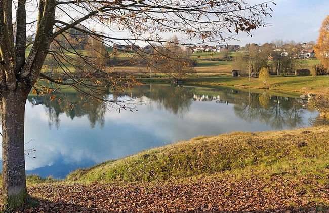 Apartment in Neuschonau Near Bavarian Forest - Photo 14