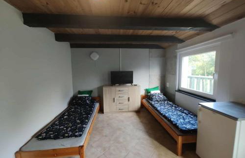 zielono mi - Foto 10