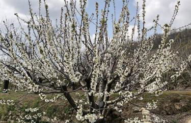 La Duquesa del Valle - Foto 34