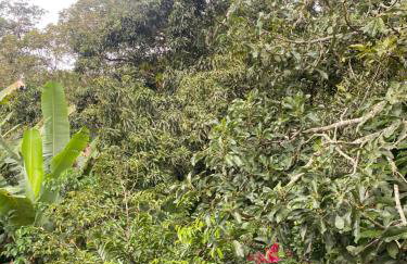 Suíte GUARAMIRANGA no Sítio - Foto 16
