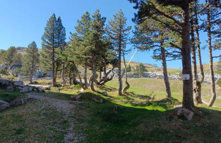 Les myrtilles La Pierre Saint Martin - Foto 18