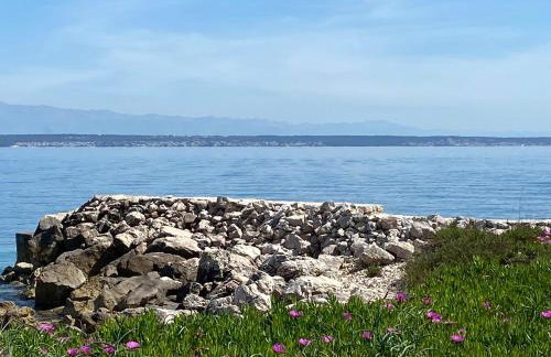 Holiday Home Mirna - Foto 66