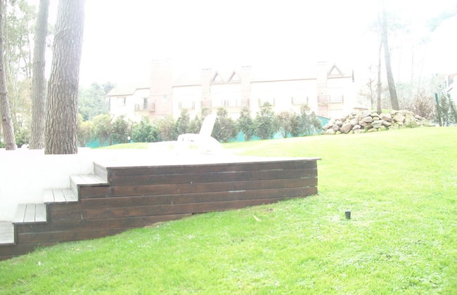 Avutarda de Carilo - Photo 44