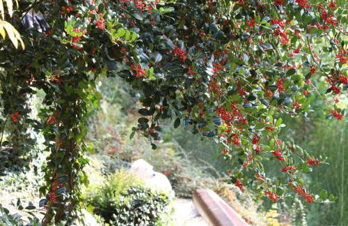 Ferienhaus Sara - Foto 9